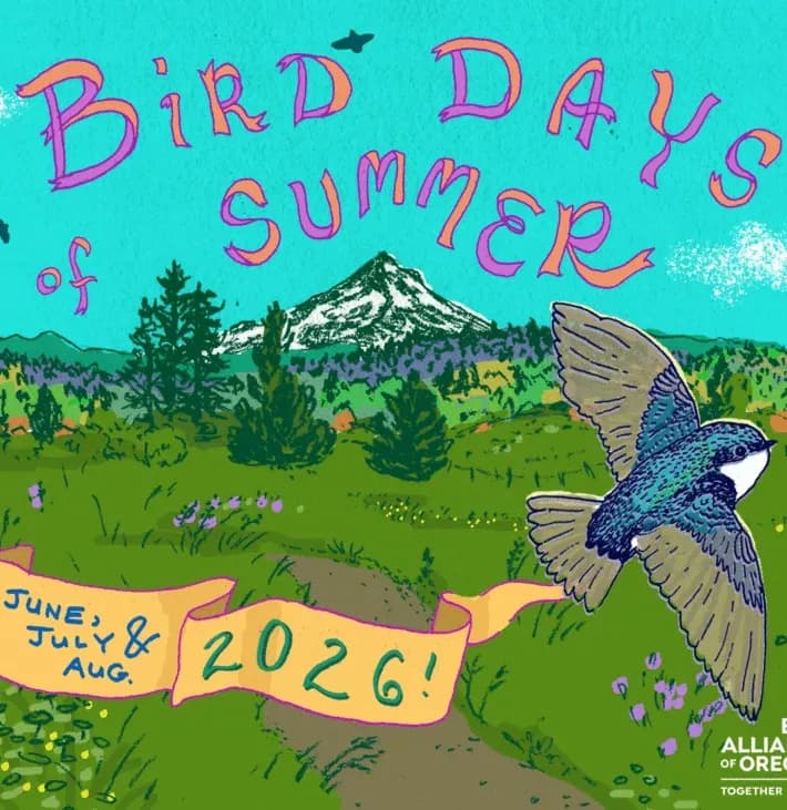 Bird days of summer