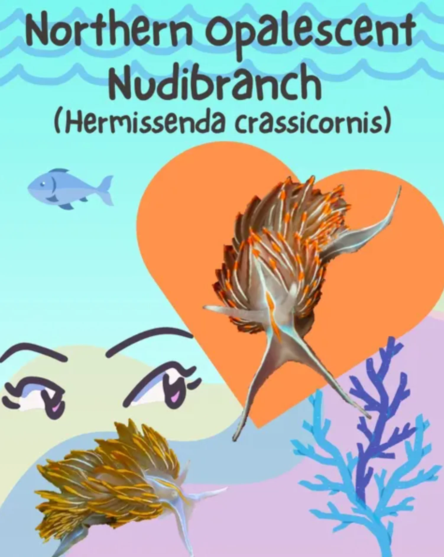 Northern Opalescent Nudibranch