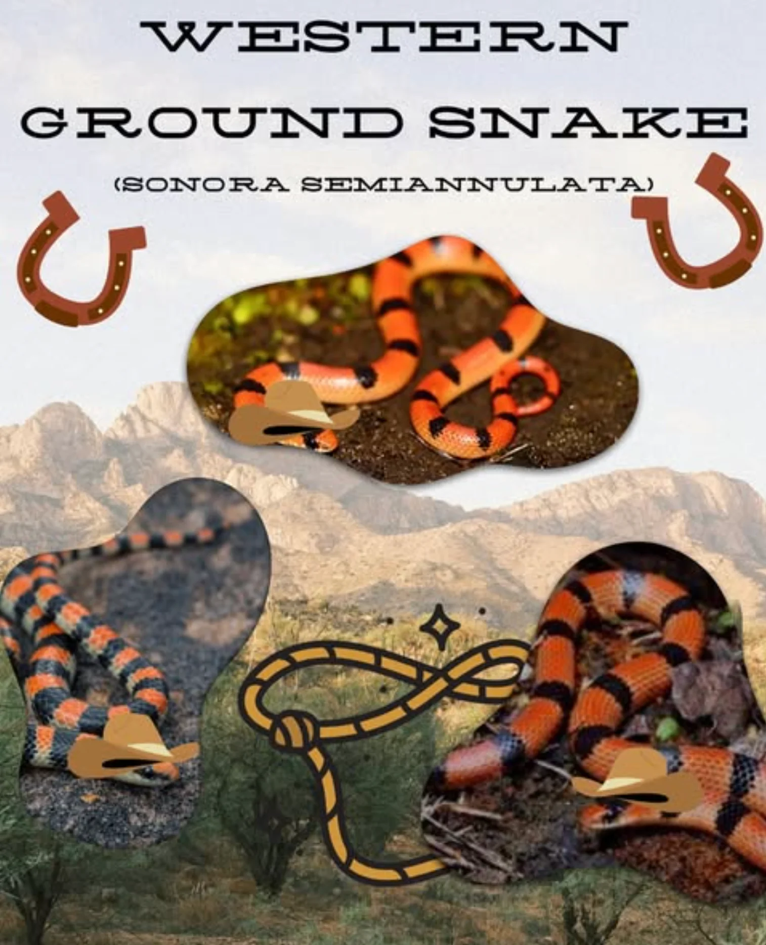 Western Ground Snake